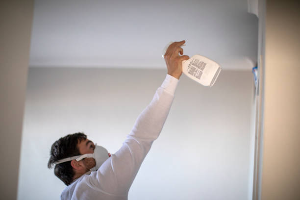 Attic Mold Removal in Union, MO
