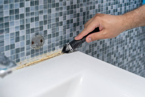 Best Mold Testing  in Union, MO